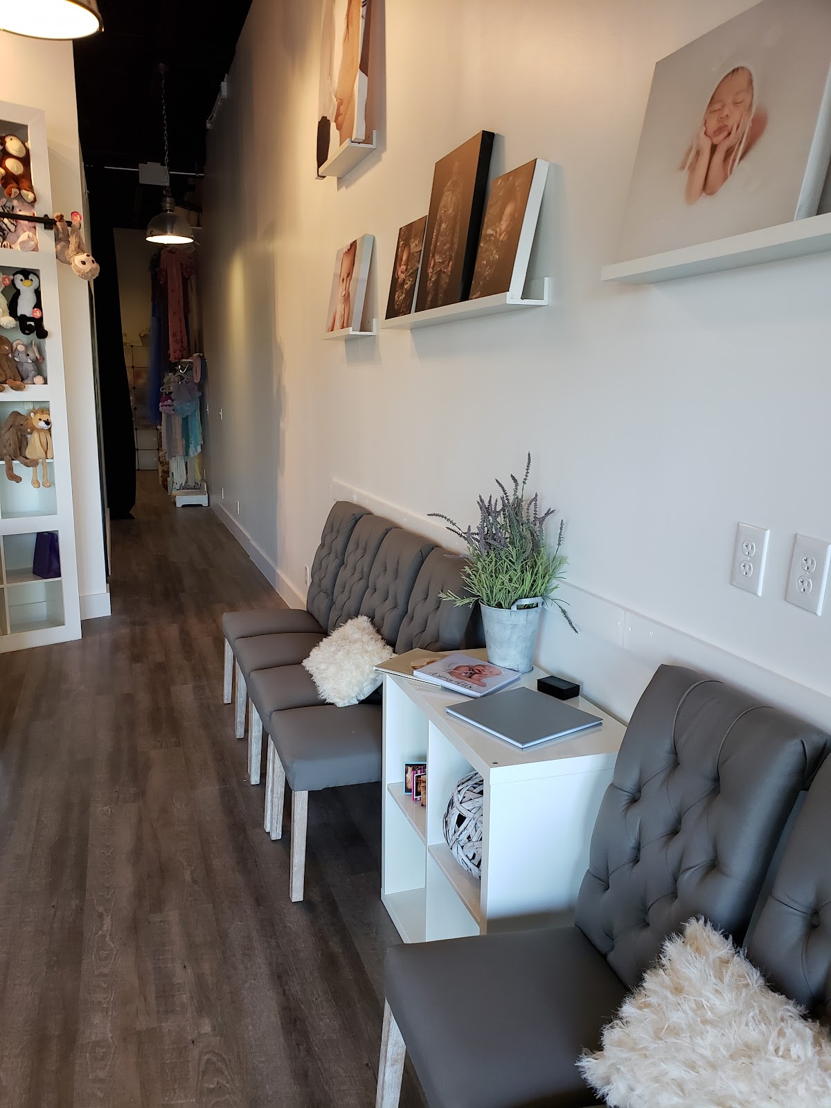Gallery image 8