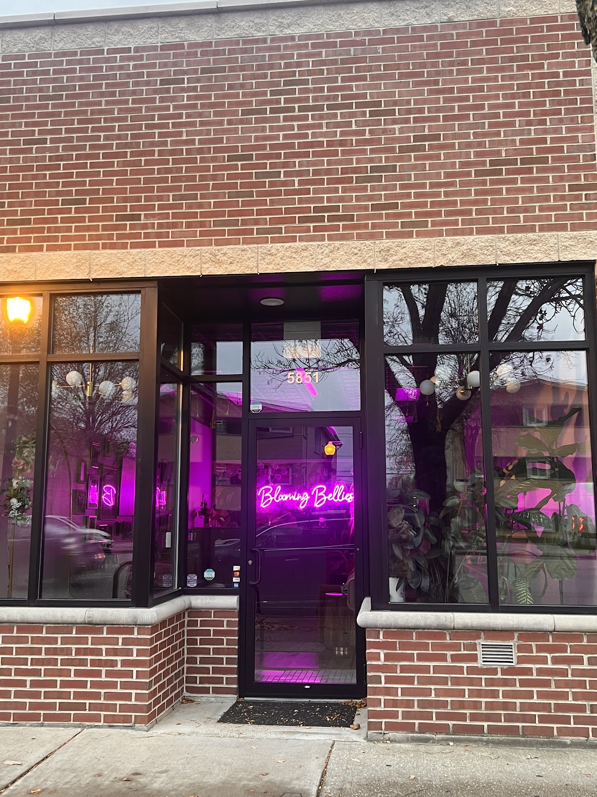 Blooming Bellies Boutique 3D Ultrasound