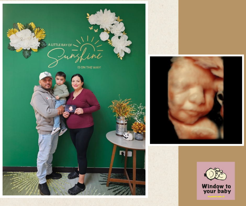 Window to Your Baby in Crystal Lake