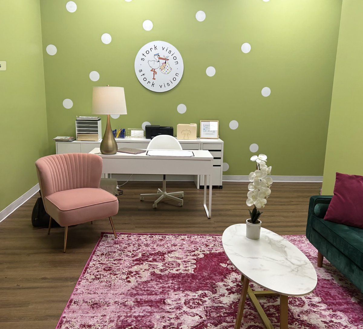 Stork Vision Dallas 3D/4D Ultrasound in Dallas