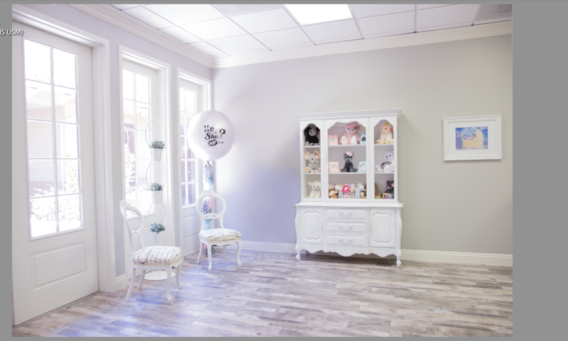 Little Blessings 3D/4D HD Live Ultrasound Studio