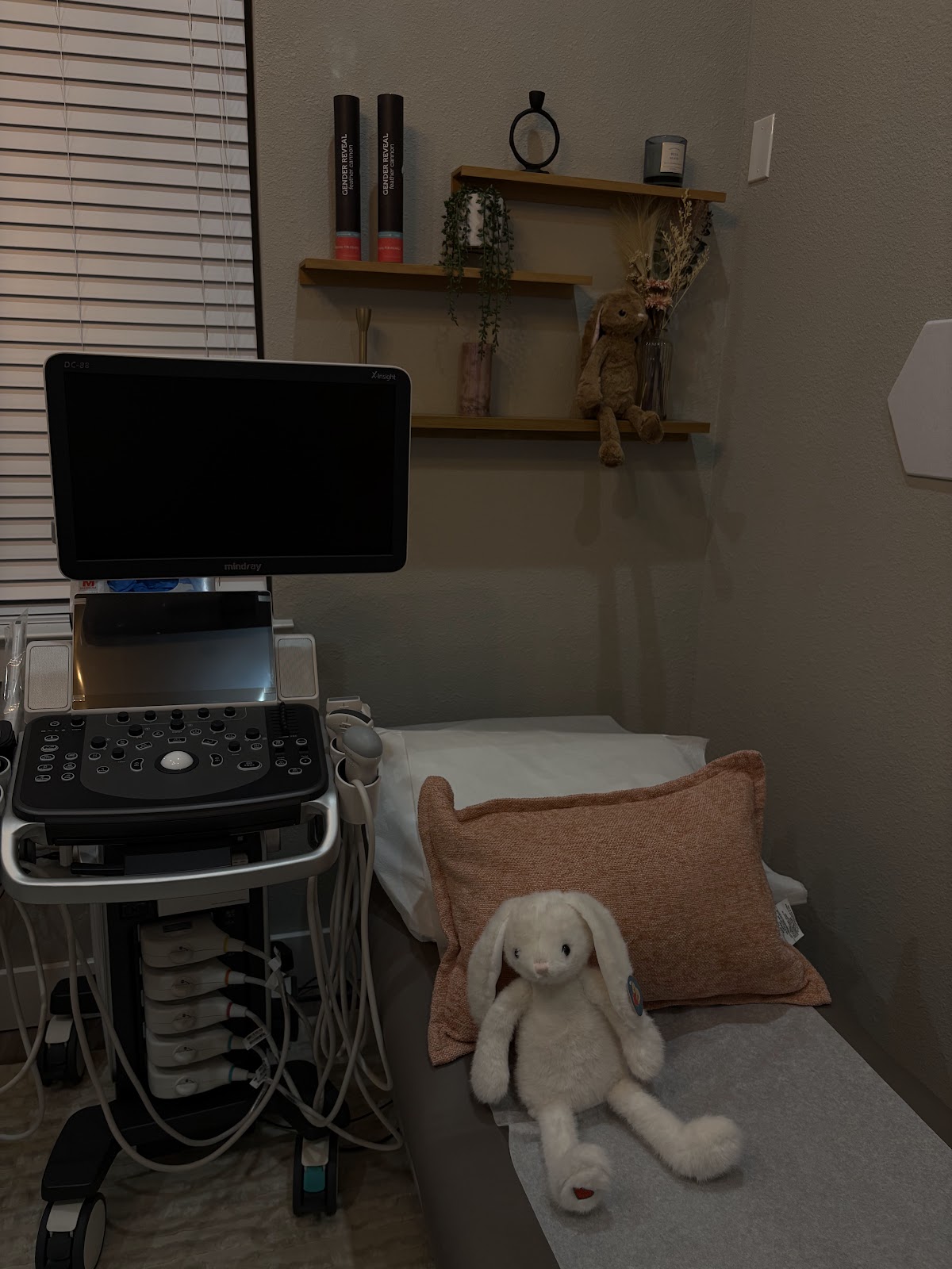 Gallery image 7