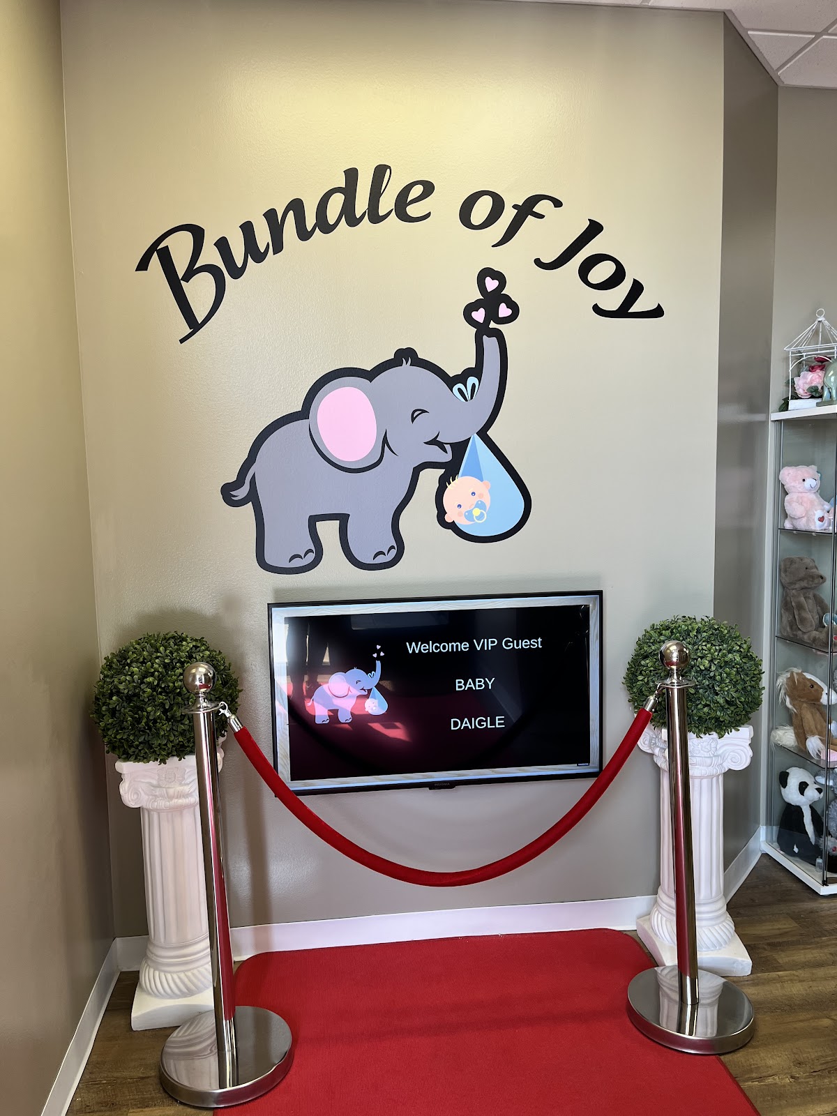 Bundle of Joy 3D/4D Ultrasound cover