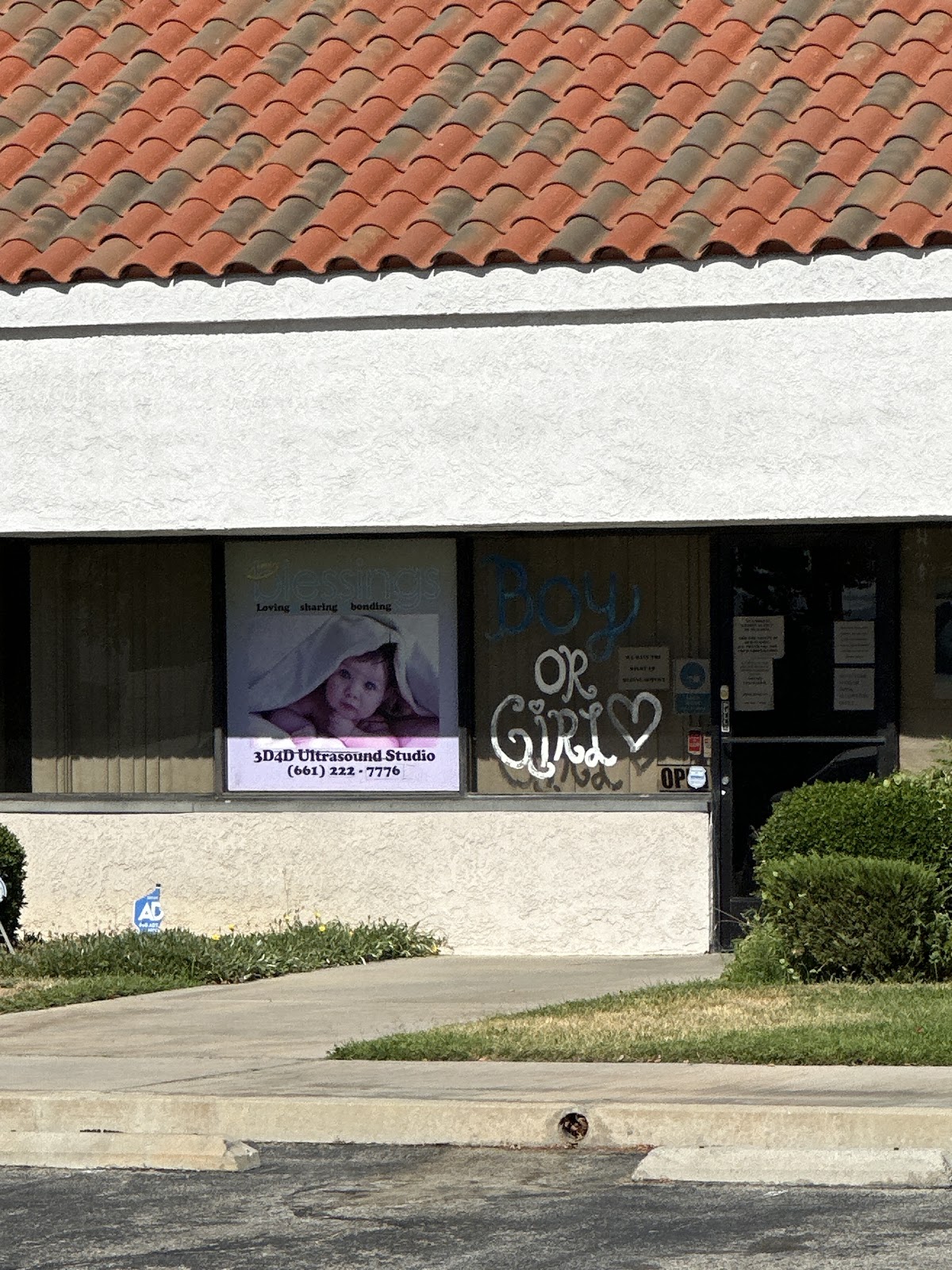 Gallery image 8