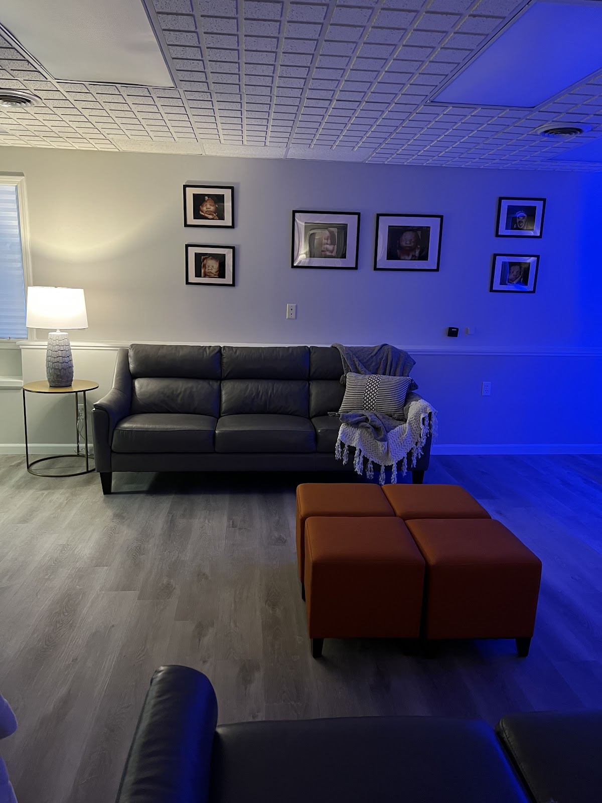 Gallery image 2