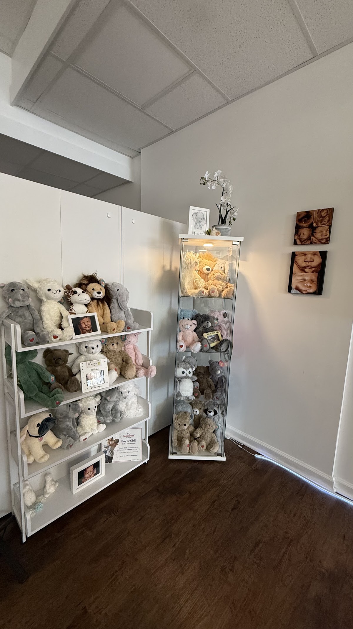 Gallery image 10