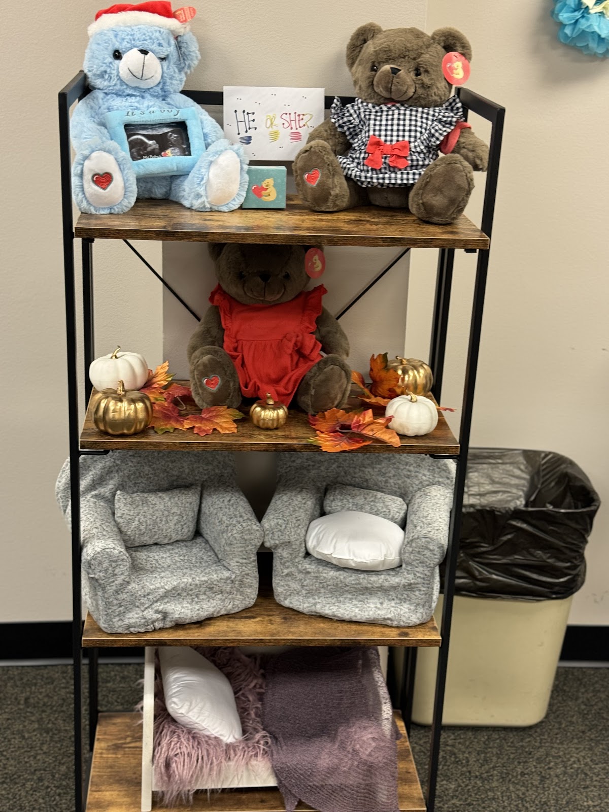 Gallery image 10