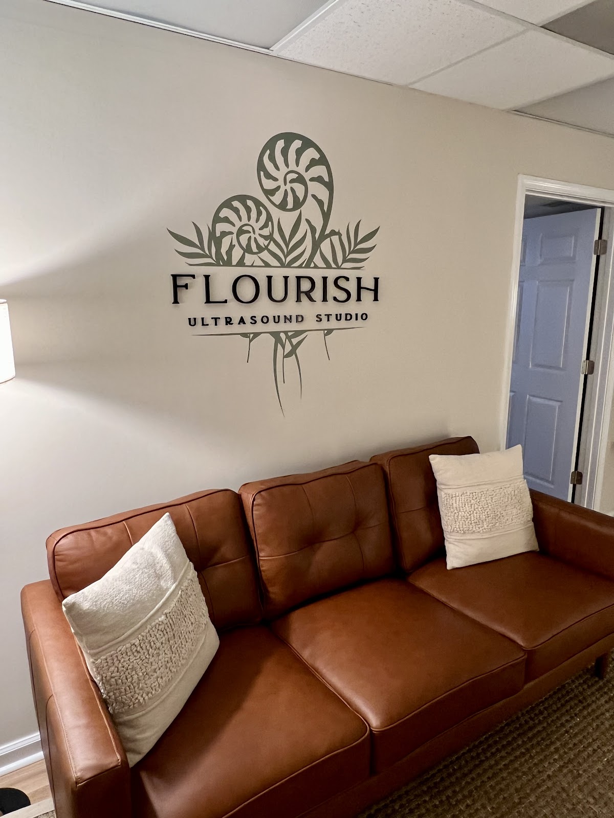 Flourish Ultrasound Studio cover